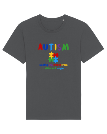AUTISM   Anthracite