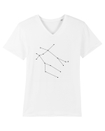 Zodia şi constelaţia Gemenilor Tricou mânecă scurtă guler V Bărbat Presenter