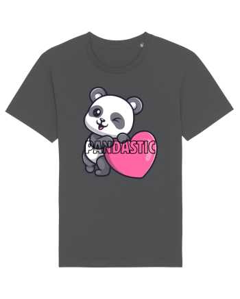 PANDASTIC  Anthracite