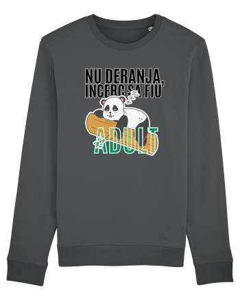 Nu deranja, încerc sa fiu Adult Anthracite