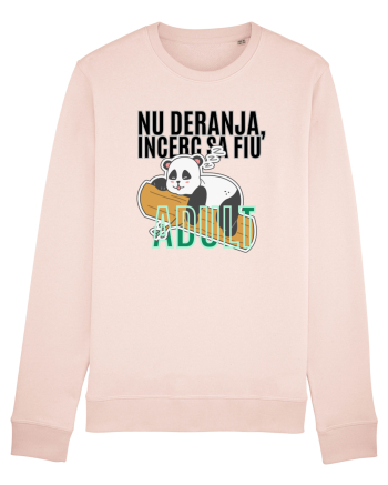Nu deranja, încerc sa fiu Adult Candy Pink
