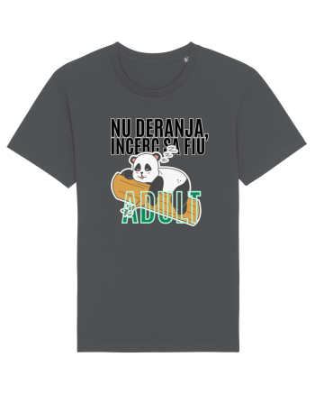Nu deranja, încerc sa fiu Adult Anthracite