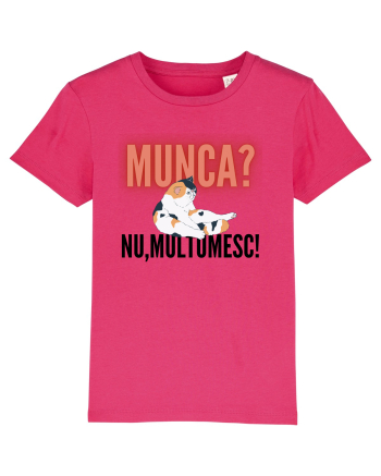 Munca?Nu mulțumesc! Raspberry