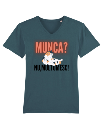 Munca?Nu mulțumesc! Stargazer