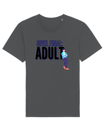 Nivel final:Adult Anthracite