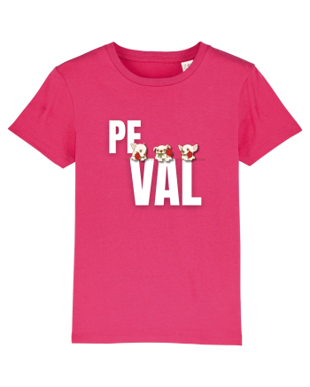 Pe val Raspberry