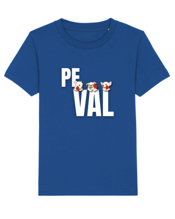 Pe val Majorelle Blue