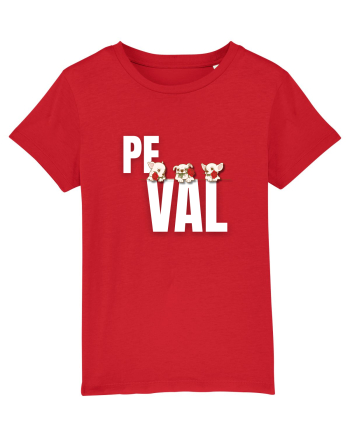 Pe val Red