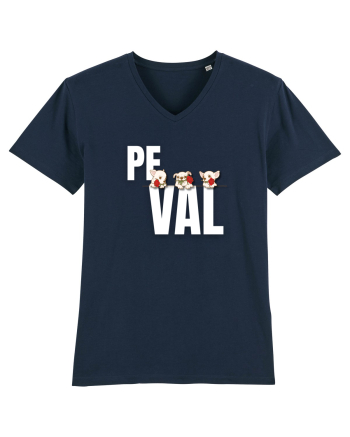 Pe val French Navy