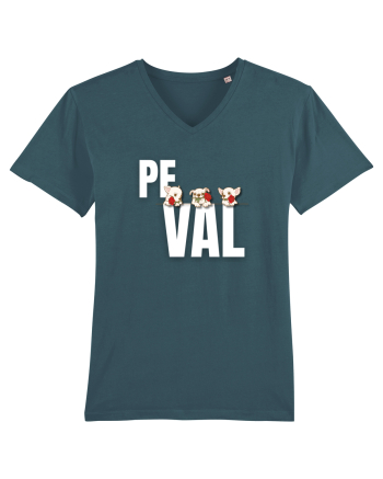 Pe val Stargazer