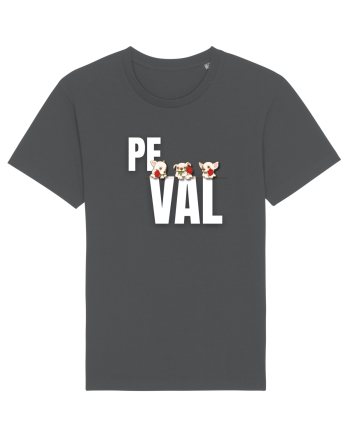 Pe val Anthracite