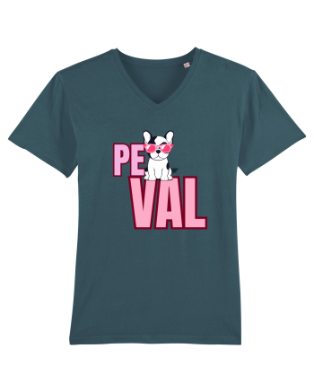 Pe val Stargazer