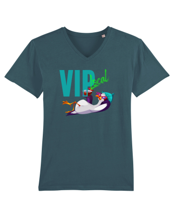 Vip local Stargazer