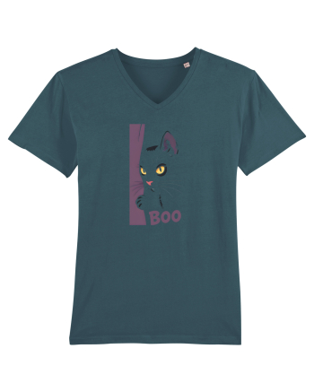 PISICA - BOO 2 Stargazer