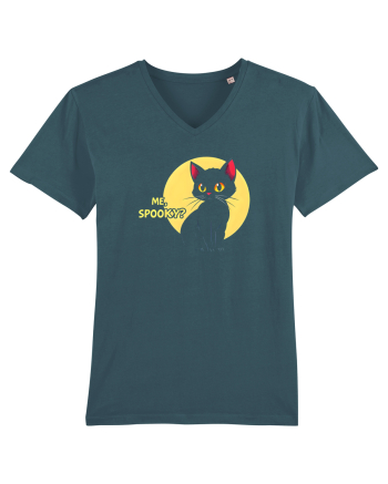 PISICA - ME, SPOOKY? Stargazer