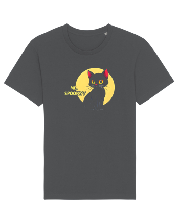 PISICA - ME, SPOOKY? Anthracite