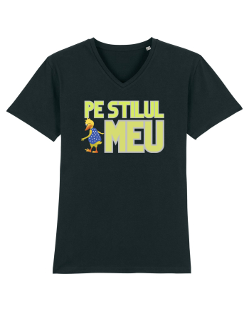 Pe stilul meu Black