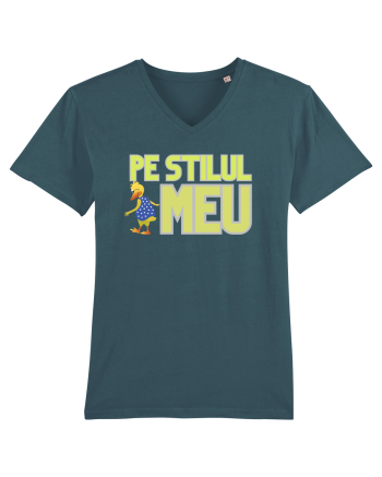 Pe stilul meu Stargazer