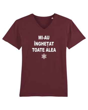 MI-AU INGHETAT TOATE ALEA - SARBATORI - IARNA Burgundy
