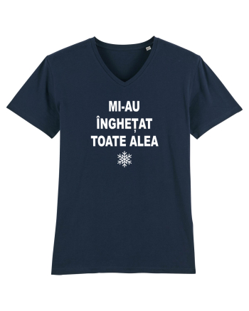 MI-AU INGHETAT TOATE ALEA - SARBATORI - IARNA French Navy