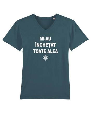 MI-AU INGHETAT TOATE ALEA - SARBATORI - IARNA Stargazer
