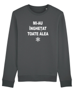 MI-AU INGHETAT TOATE ALEA - SARBATORI - IARNA Bluză mânecă lungă Unisex Rise