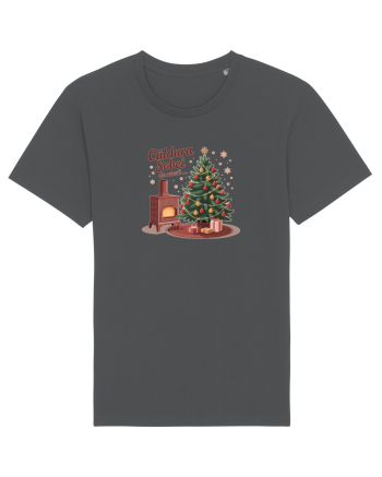 CALDURA SOBEI DE ACASA - CRACIUN - NOSTALGIA COPILARIEI Anthracite