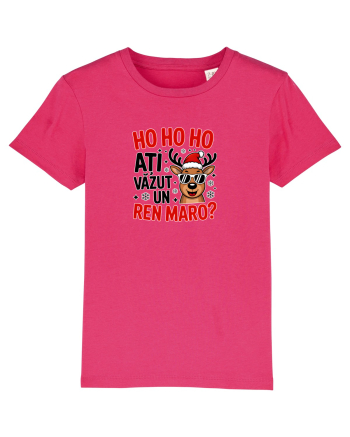 HOHO HO HO! ATI VAZUT UN REN MARO? Raspberry