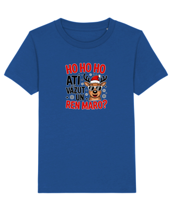 HOHO HO HO! ATI VAZUT UN REN MARO? Majorelle Blue