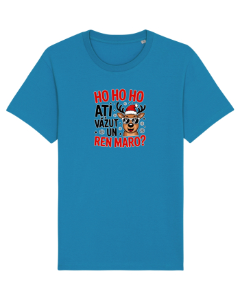 HOHO HO HO! ATI VAZUT UN REN MARO? Azur