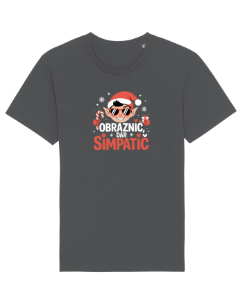 OBRAZNIC, DAR SIMPATIC Anthracite