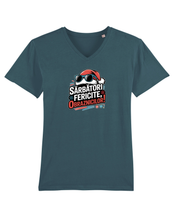 SARBATORI FERICITE, OBRAZNICILOR!  Stargazer