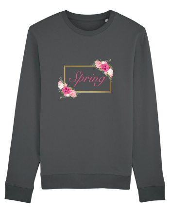 Spring  1  Anthracite