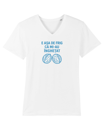 E ASA DE FRIG CA MI_AU INGHETAT.... ALEA (nucile) White
