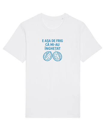 E ASA DE FRIG CA MI_AU INGHETAT.... ALEA (nucile) White