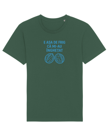 E ASA DE FRIG CA MI_AU INGHETAT.... ALEA (nucile) Bottle Green