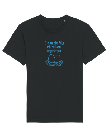 E ASA DE FRIG CA MI_AU INGHETAT.... ALEA (ouale) Black