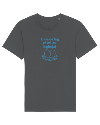 E ASA DE FRIG CA MI_AU INGHETAT.... ALEA (ouale) Anthracite