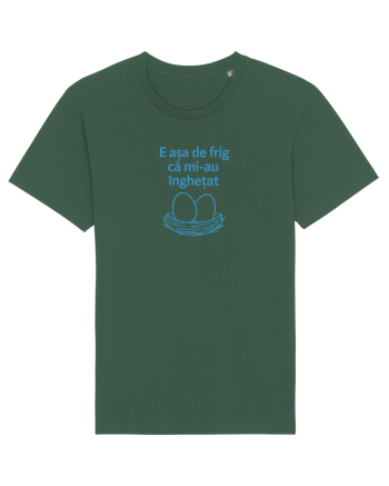 E ASA DE FRIG CA MI_AU INGHETAT.... ALEA (ouale) Bottle Green