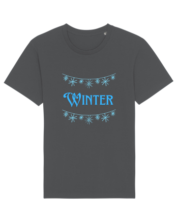 Winter  2  Anthracite
