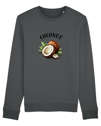 Coconut  1  Anthracite
