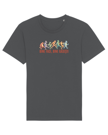 BINE FACI, BINE GASESTI  - maimute Anthracite