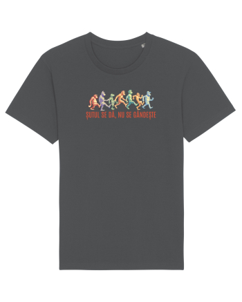 SUTUL SE DA, NU SE GANDESTE - maimute kicking a** Anthracite