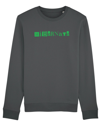 Hibernate  Anthracite