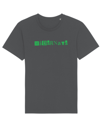 Hibernate  Anthracite
