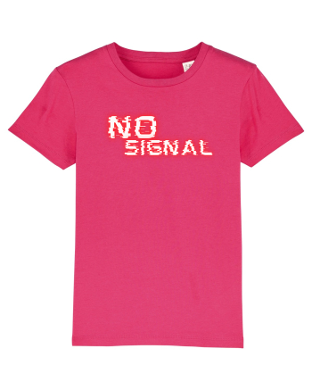 No signal  Raspberry