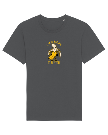 SO EXCITED TO SEE YOU - BANANA BUCUROASA Anthracite