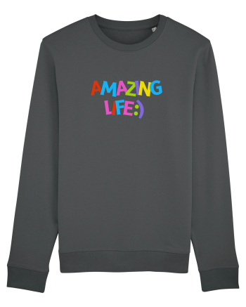 Ameizing life Anthracite