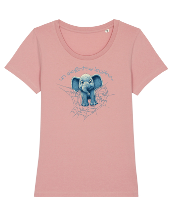 UN ELEFANT SE LEGANA PE O PANZA DE PAIANJEN - jocurile copilariei Canyon Pink