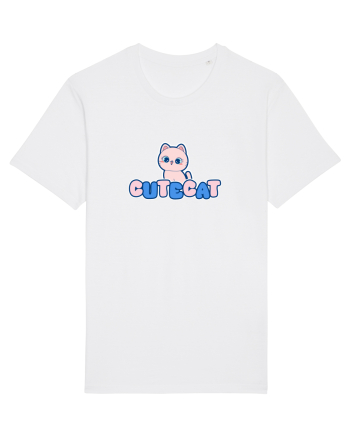 Cute cat White